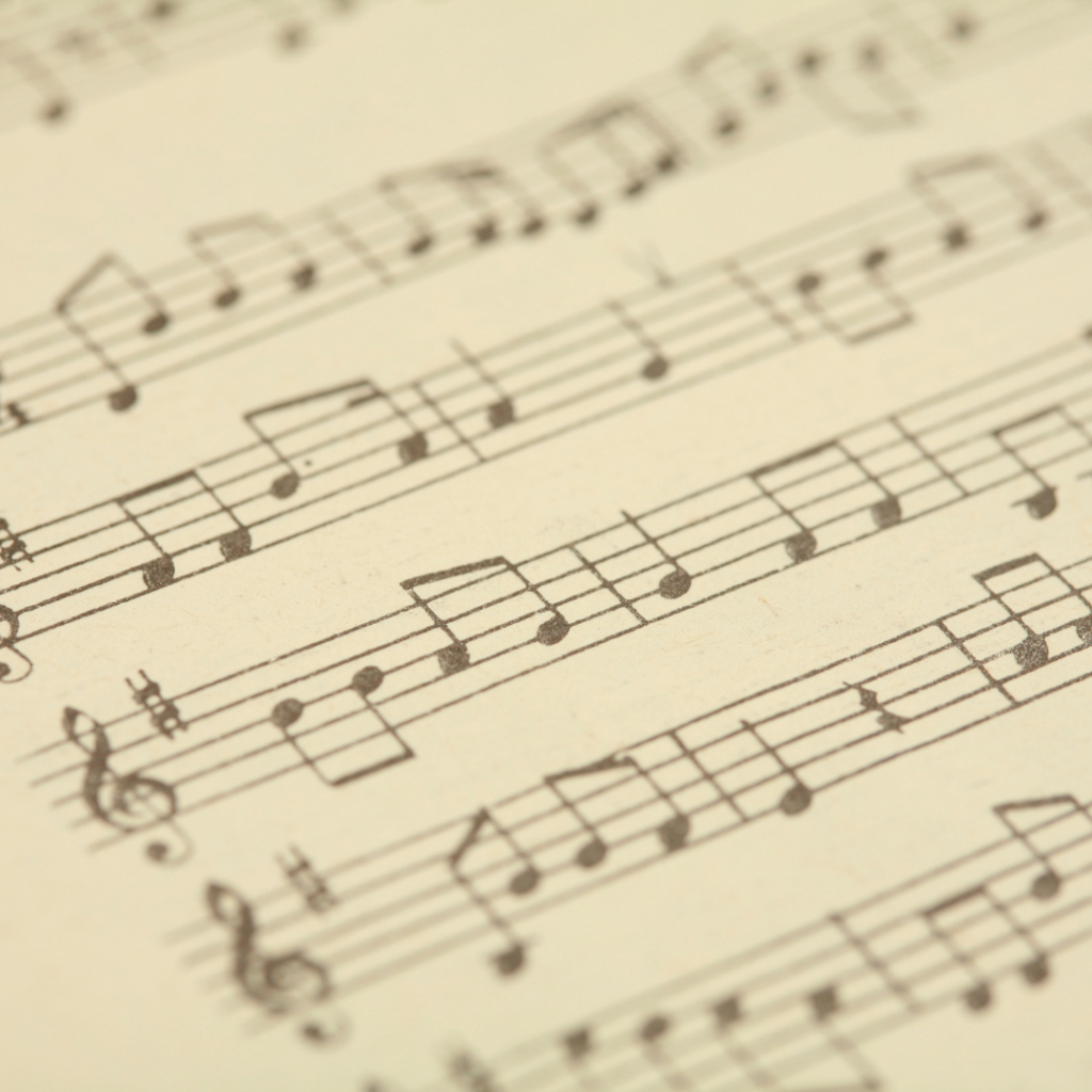 modelos prueba acceso